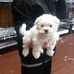 Debra Grant - Facebook
