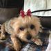 Debra Gray - Facebook