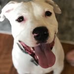 Debra Gray - @cajungirl1298 - Instagram
