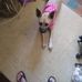 Deborah Grayson - Facebook