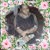 Debra Grice - Facebook