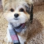Debra Bannon Griffith - @debragriffith - Instagram