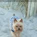 Debra Grissom - Facebook