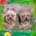 Debra Grissom - Facebook