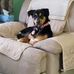 Deborah Sue Gross - Facebook
