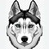 Debrayguessthatperson - @debray81 - TikTok