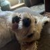 Debra Evans Gulledge - Facebook