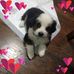 Deborah Gutierrez - Facebook