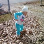 Debra Gwinn - @debragwinn - Instagram