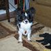 Deborah Hallock Spencer - Facebook