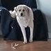 Debra Hallock - Facebook