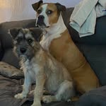 Debra Garrett Hamby - @debhamby - Instagram