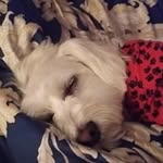 Debra Hand - @hand8809 - Instagram