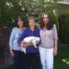 debraharden - @debra.harden7 - TikTok