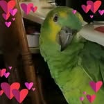 Debra Hare - @debra.hare.9 - Instagram