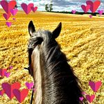 Debra Harrington - @appleblossom1965 - Instagram