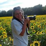 Debra Harvey - @djharveyphoto - Instagram