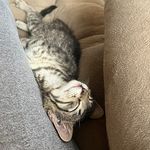 Debra Harvey - @debra.harvey.7 - Instagram