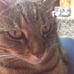 Deborah Hayhurst - Facebook