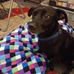 Debbie Hazzard - Facebook