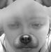 Debra Heater - Facebook