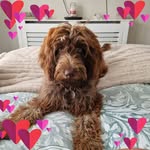 Debra Heath - @debraheath063 - Instagram