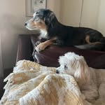 Debra Ann Hebert - @hebertdebra0610 - Instagram