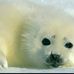 Debra Hebert - Facebook