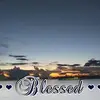 Debra Hebert-Robinso - @debrahebertrobinson - TikTok