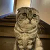 Debra.Hebert - @debrahebertvxtoiz - TikTok