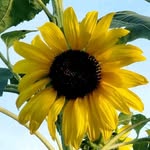 debra heck - @debraheck7 - Instagram