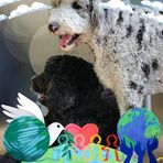 Debra Heckler - Facebook