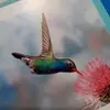 Debra Hedge - @debra.hedge - TikTok