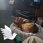 Marilyn Debra Hedrick - @debrahedrick3 - Instagram