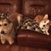 Debra Hersch - Facebook