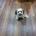 Debra Hefner - Facebook