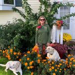 Debra Heilman Colgan - @debracolgan - Instagram
