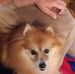Debra Heim - Facebook