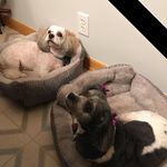 Debra Heimerman - @debraheimerman - Instagram