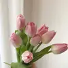 debra heinz - @debra.heinz - TikTok