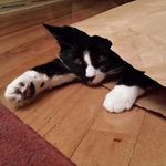 Debra Heine - @debra.heine - Instagram