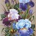 Debra Heinrich - Facebook