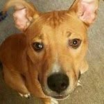 Debra Heinzman - @debraheinzman - Instagram