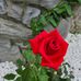 Debra Herrst - Facebook