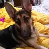Debra Helfrich - @debrahelfrich6 - TikTok