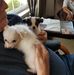 Debra Helmke - Facebook