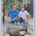 Debra Helton - Facebook