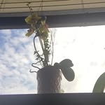 Debra Helton - @debrak105 - Instagram