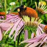 Debra Helton Carpenter - @dcarp63 - Instagram