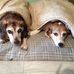 Deb Helwig - Facebook